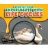 Step-By-Step Experiments With Life Cycles