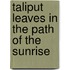 Taliput Leaves in the Path of the Sunrise