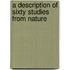 A Description of Sixty Studies from Nature