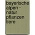 Bayerische Alpen · Natur  Pflanzen  Tiere