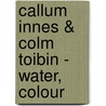 Callum Innes & Colm Toibin - Water, Colour by Colm Tóibín