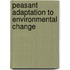 Peasant Adaptation to Environmental Change