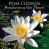 Pema Chodron Calendar: Awakening the Heart door Pema Chödrön