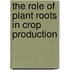 The Role of Plant Roots in Crop Production