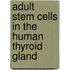 Adult Stem Cells in the Human Thyroid Gland