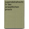 Jugendstrafrecht in der anwaltlichen Praxis by Marion Reisenhofer
