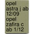 Opel Astra J ab 12/09 Opel Zafira C ab 1/12