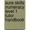 Sure Skills Numeracy Level 1 Tutor Handbook door Tina Lawton