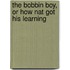 The Bobbin Boy, or How Nat Got His Learning