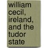 William Cecil, Ireland, and the Tudor State