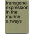 Transgene Expression in the Murine Airways
