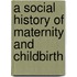 A Social History of Maternity and Childbirth