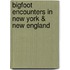 Bigfoot Encounters In New York & New England