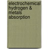 Electrochemical Hydrogen & Metals Absorption door Sergei Beloglazov