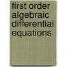 First Order Algebraic Differential Equations door M. Matsuda