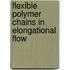 Flexible Polymer Chains In Elongational Flow