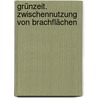 Grünzeit. Zwischennutzung von Brachflächen by Heike Hoffmann