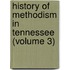 History Of Methodism In Tennessee (Volume 3)