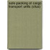 Safe Packing Of Cargo Transport Units (ctus)