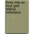 Three Mile An Hour God: Biblical Reflections