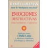 Emociones Destructivas / Destructive Emotions by Hh The Dalai Lama