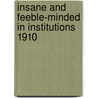 Insane and Feeble-Minded in Institutions 1910 door Joseph A. 1860-1938 Hill