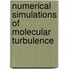 Numerical Simulations of Molecular Turbulence door Georgi Pavlovski