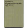 Praxisbuch Fußreflexzonentherapie nach Heinz by Stephan Hein