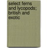 Select Ferns and Lycopods; British and Exotic door Benjamin Samuel Williams