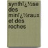 Synthï¿½Se Des Minï¿½Raux Et Des Roches