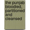 The Punjab Bloodied, Partitioned and Cleansed door Ishtiaq Ahmed