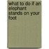 What to Do If an Elephant Stands on Your Foot