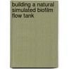 Building a Natural Simulated Biofilm Flow Tank door T.S. Amar Anand Rao