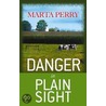 Danger in Plain Sight: An Amish Suspense Novel door Marta Perry