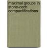 Maximal Groups in Stone-Cech Compactifications door Lakeshia Legette