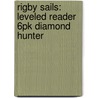 Rigby Sails: Leveled Reader 6pk Diamond Hunter by Authors Various