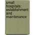 Small Hospitals; Establishment And Maintenance