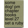 Some Dog! Pm Chapter Books Level 27 Set A Ruby door Errol Brown