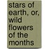 Stars of Earth, Or, Wild Flowers of the Months