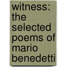 Witness: The Selected Poems of Mario Benedetti door Mario Benedetti