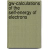 Gw-calculations Of The Self-energy Of Electrons door Heinz-Georg Flesch