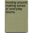 Horsing Around: Making Sense of Everyday Idioms