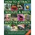 How To Attract Wildlife & Birds Into The Garden