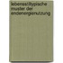 Lebensstiltypische Muster der Endenergienutzung