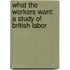 What The Workers Want: A Study Of British Labor