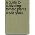 A Guide To Cultivating Tomato Plants Under Glass