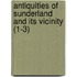 Antiquities of Sunderland and Its Vicinity (1-3)