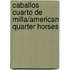 Caballos Cuarto De Milla/American Quarter Horses