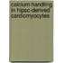 Calcium Handling In Hipsc-derived Cardiomyocytes