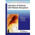 Interaction of Polymers with Polluted Atmosphere